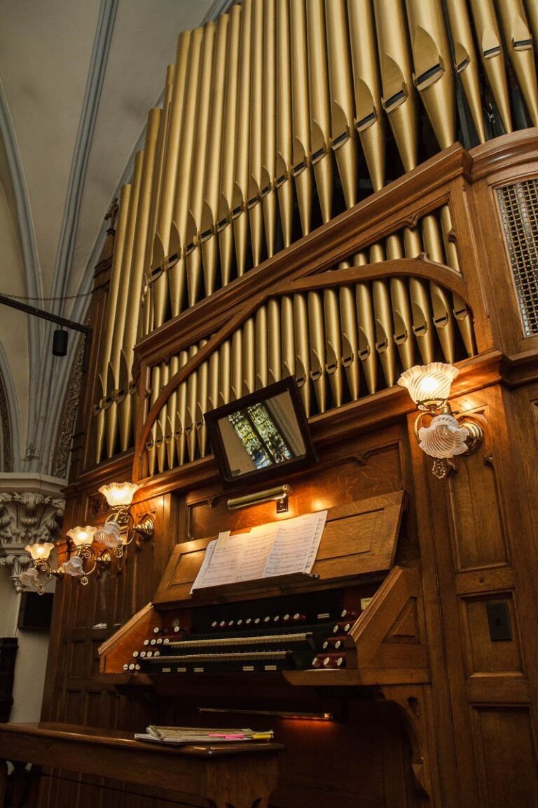 GH organ Balko